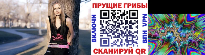 где найти наркотики  Кириллов  Псилоцибиновые грибы ЛСД 